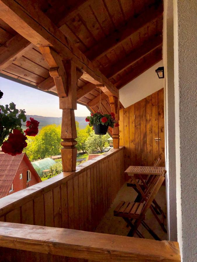 Pensiunea Roca Maramures Deseşti Eksteriør bilde
