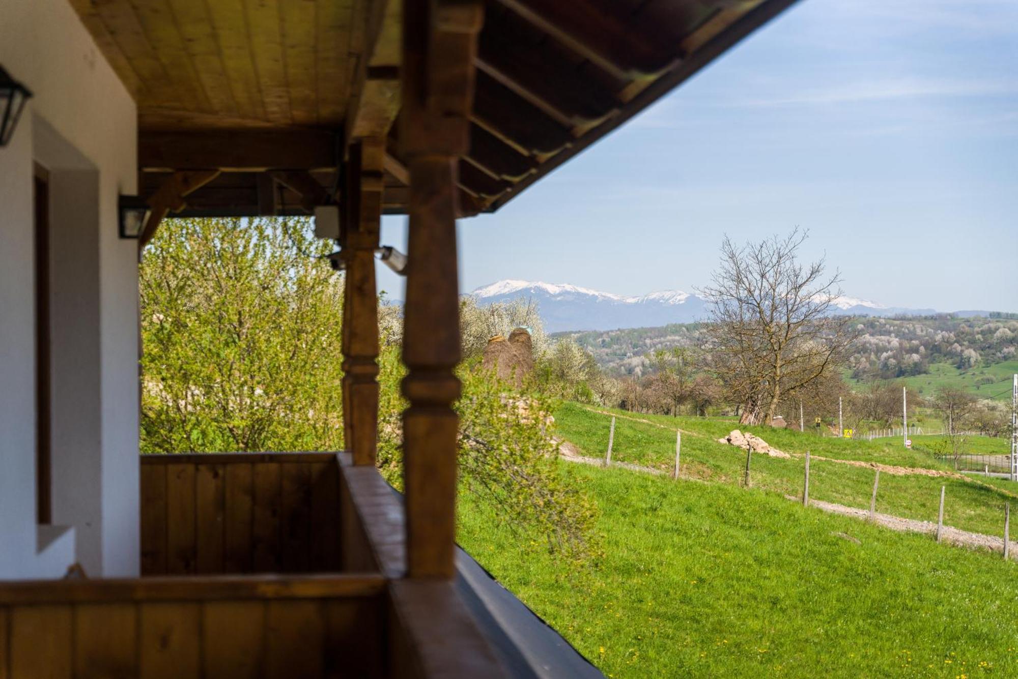 Pensiunea Roca Maramures Deseşti Eksteriør bilde