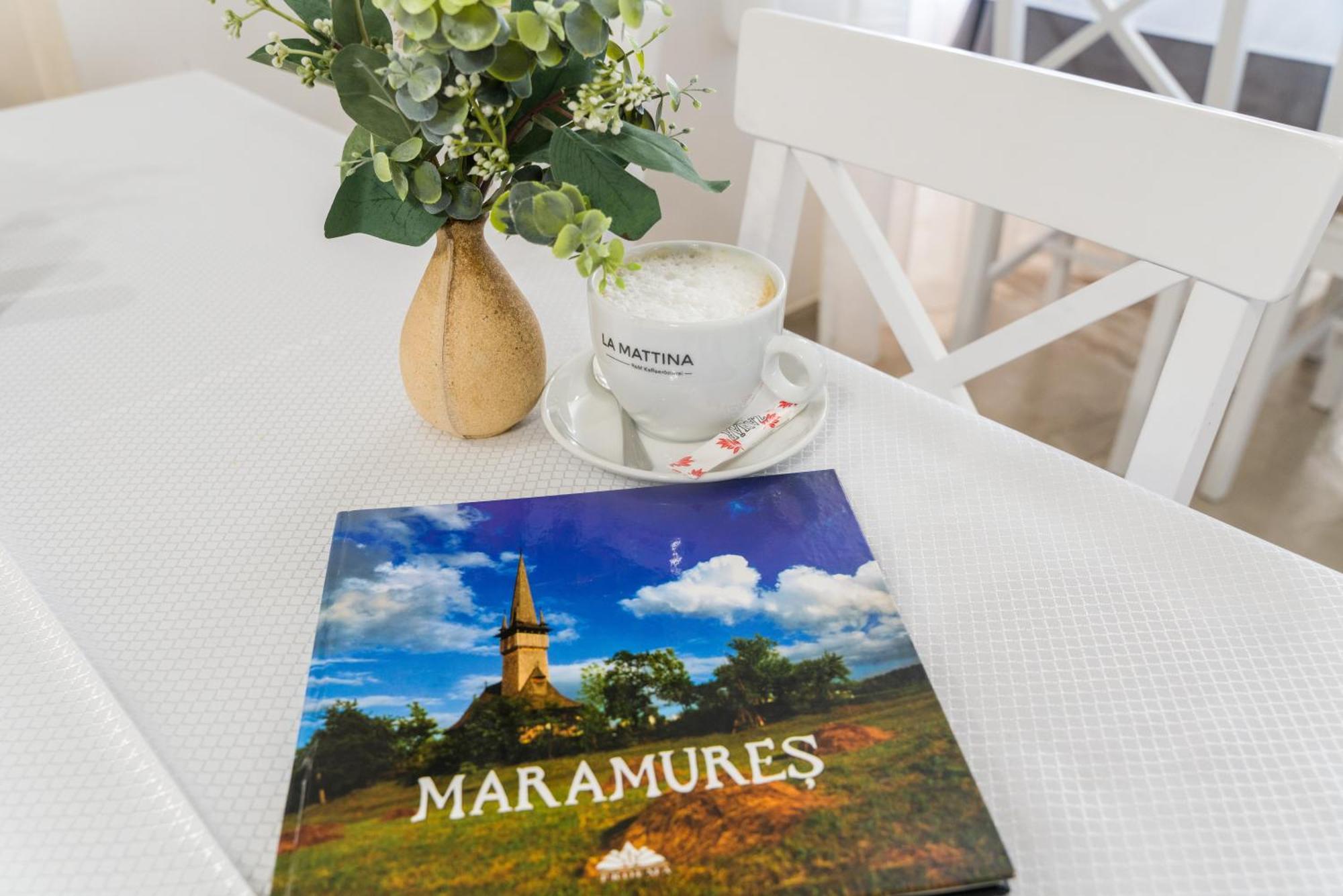 Pensiunea Roca Maramures Deseşti Eksteriør bilde